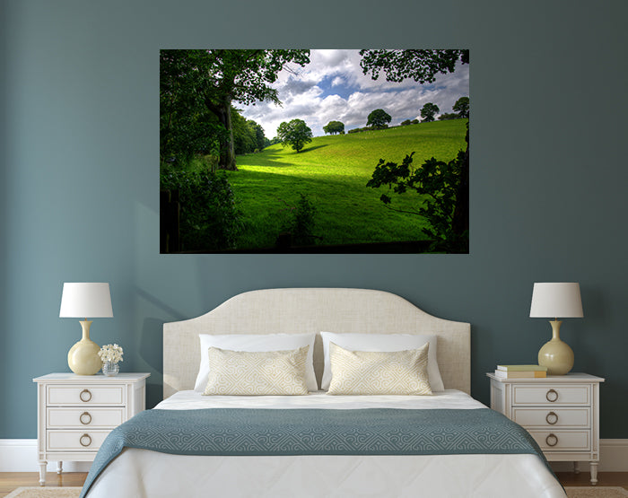 A collection of colorful removable wall decals displayed on a smooth surface, showcasing various designs and patterns.