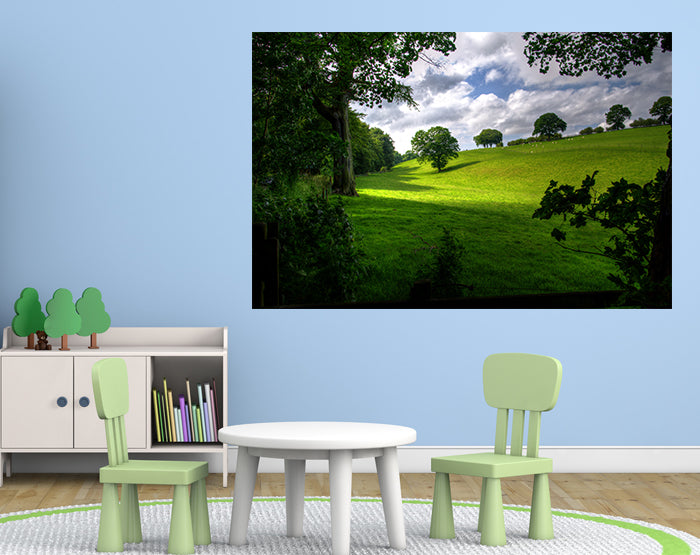 A collection of colorful removable wall decals displayed on a smooth surface, showcasing various designs and patterns.