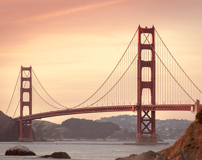 A collection of colorful and stylish removable wall decals displayed on a smooth wall, showcasing various designs suitable for different rooms.