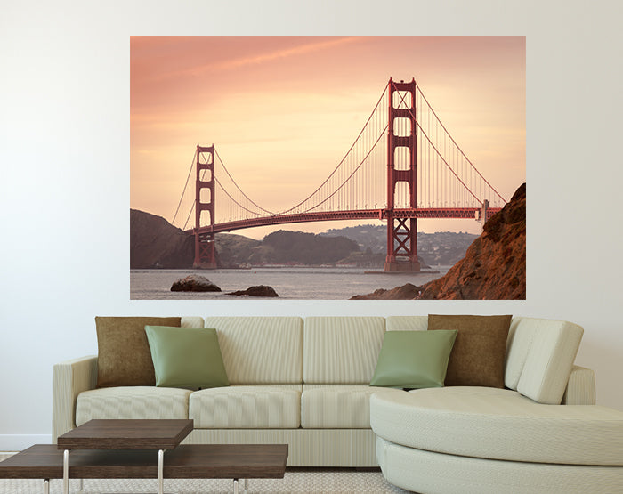 A collection of colorful and stylish removable wall decals displayed on a smooth wall, showcasing various designs suitable for different rooms.