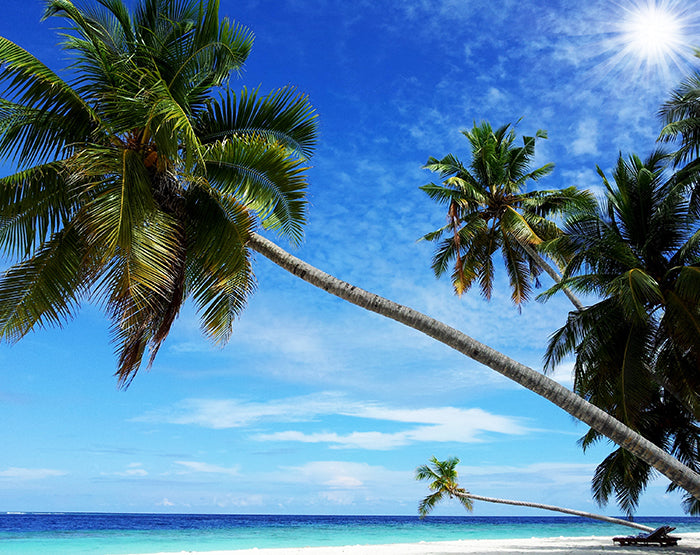 A vibrant collection of removable wall decals showcasing various designs, perfect for home decoration.