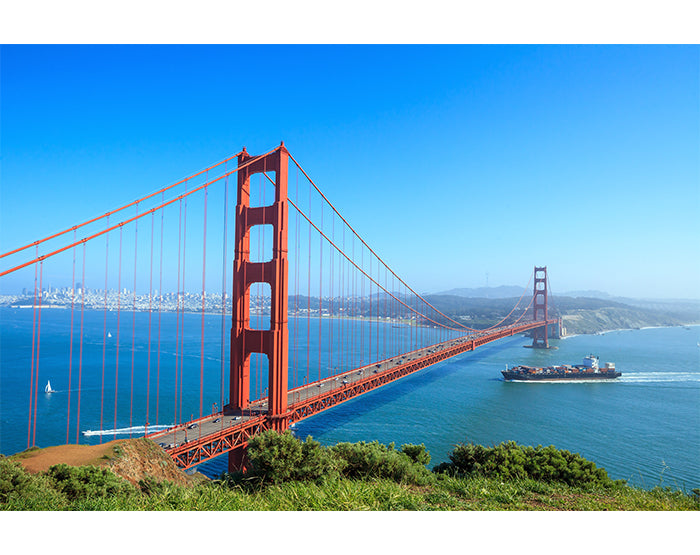 A collection of colorful and stylish removable wall decals displayed on a smooth wall, showcasing various designs suitable for different rooms.