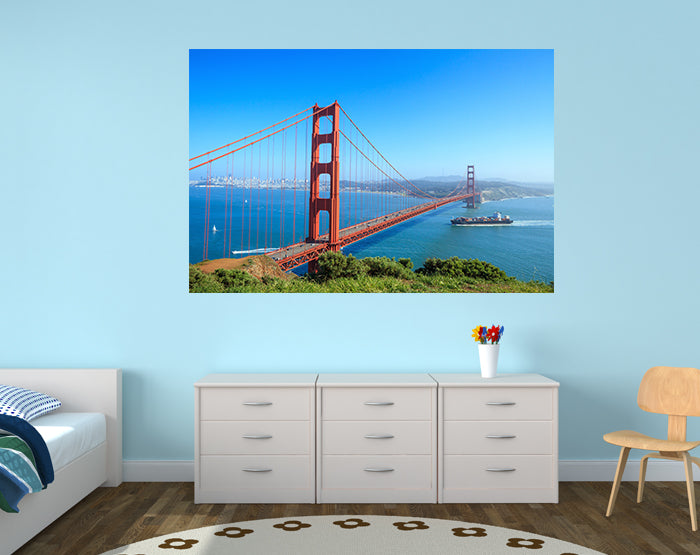 A collection of colorful and stylish removable wall decals displayed on a smooth wall, showcasing various designs suitable for different rooms.