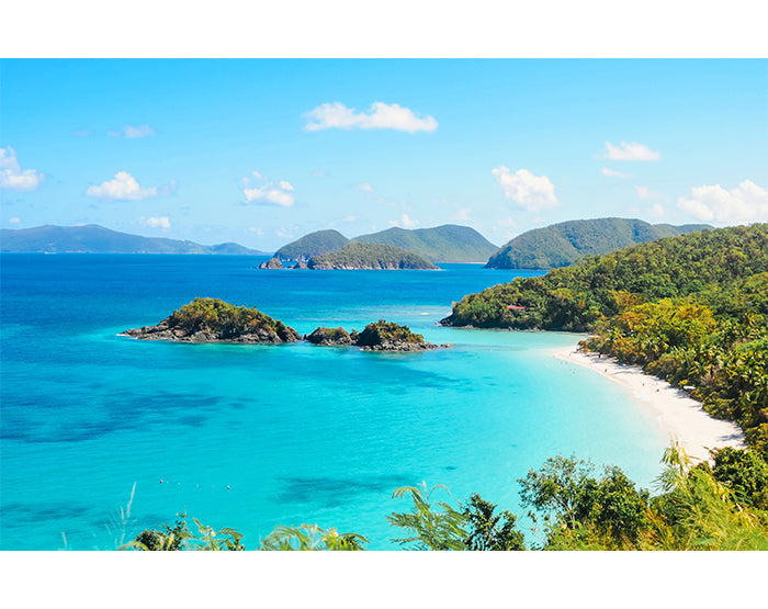 A collection of colorful and stylish removable wall decals displayed on a smooth surface, showcasing various designs suitable for home decor.