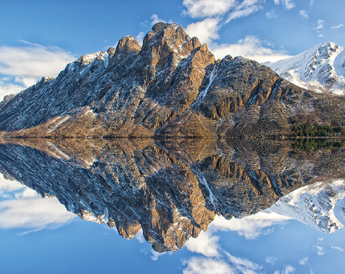 A collection of colorful and stylish removable wall decals displayed on a smooth surface, showcasing various designs suitable for home decor.