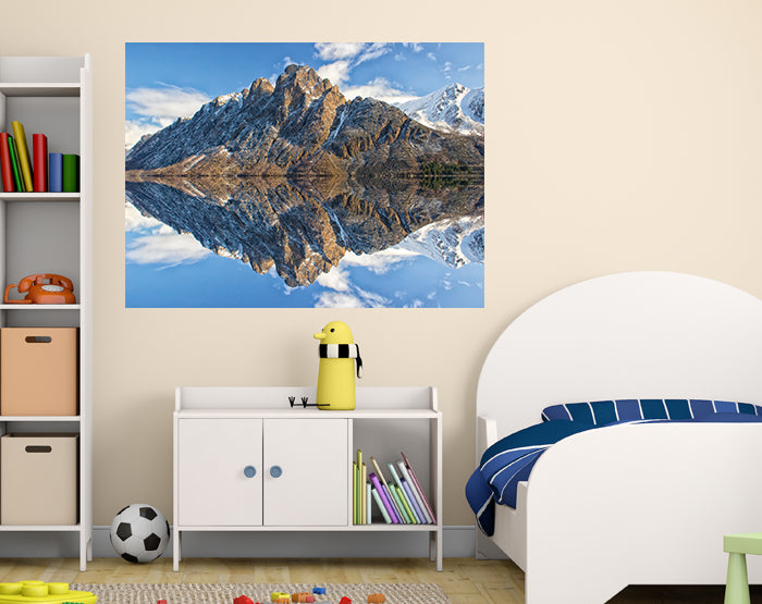 A collection of colorful and stylish removable wall decals displayed on a smooth surface, showcasing various designs suitable for home decor.