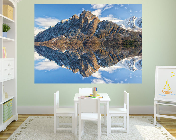 A collection of colorful and stylish removable wall decals displayed on a smooth surface, showcasing various designs suitable for home decor.