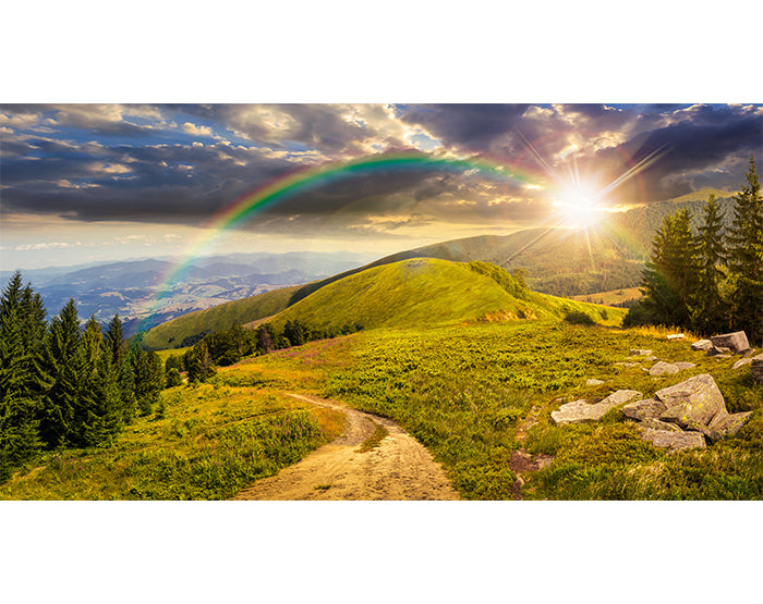 A collection of colorful removable wall decals displayed on a smooth wall, showcasing various designs and patterns.