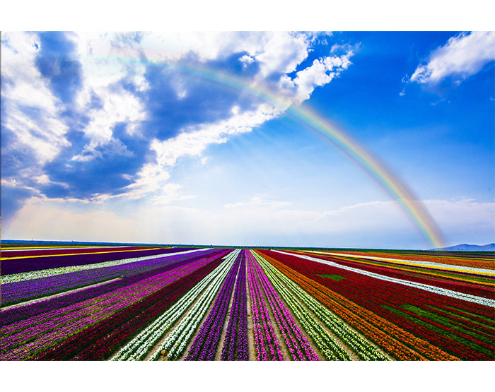 A collection of colorful and stylish removable wall decals displayed on a smooth surface, showcasing various designs suitable for home decor.