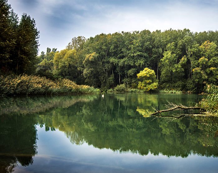 A collection of colorful and stylish removable wall decals displayed on a smooth surface, showcasing various designs suitable for home decor.