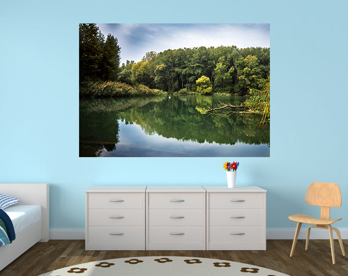 A collection of colorful and stylish removable wall decals displayed on a smooth surface, showcasing various designs suitable for home decor.