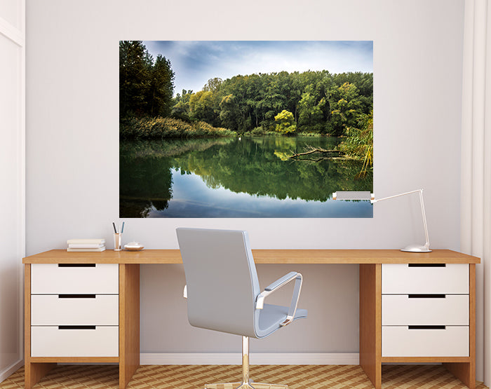 A collection of colorful and stylish removable wall decals displayed on a smooth surface, showcasing various designs suitable for home decor.