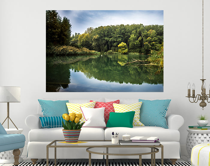 A collection of colorful and stylish removable wall decals displayed on a smooth surface, showcasing various designs suitable for home decor.