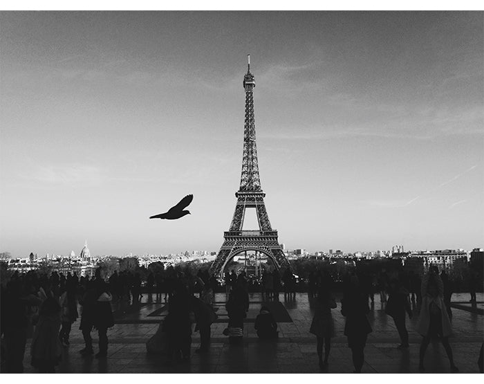 A collection of colorful and stylish removable wall decals displayed on a smooth surface, showcasing various designs suitable for home decor.