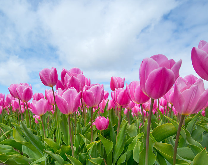 Colorful removable wall decals showcasing various designs on a smooth surface, perfect for home decor.