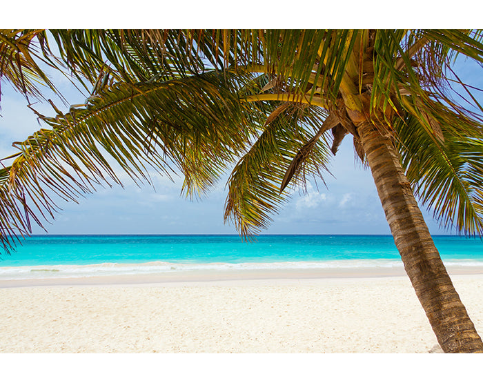 Colorful removable wall decals displayed on a smooth wall, showcasing various designs and patterns.