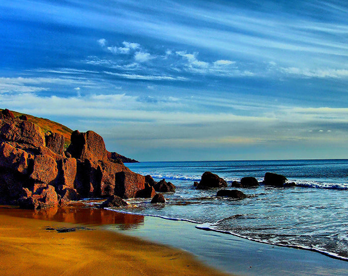 A collection of colorful and stylish removable wall decals displayed on a smooth surface, showcasing various designs suitable for home decor.