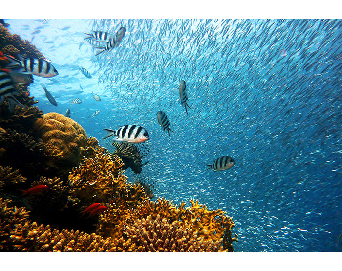 A collection of colorful removable wall decals displayed on a smooth wall, showcasing various designs and patterns.