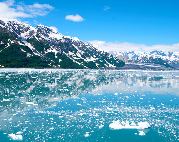 A collection of colorful and stylish removable wall decals displayed on a smooth wall, showcasing various designs suitable for different rooms.