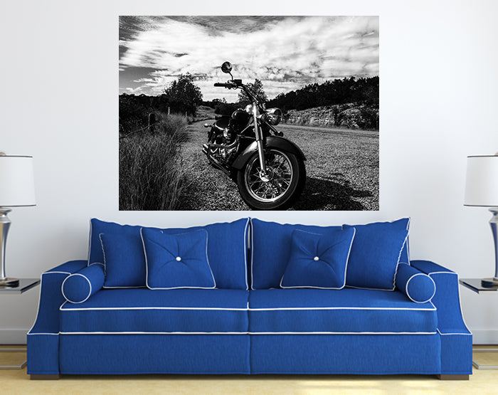 A vibrant collection of removable wall decals showcasing various designs, perfect for home decor enhancement.