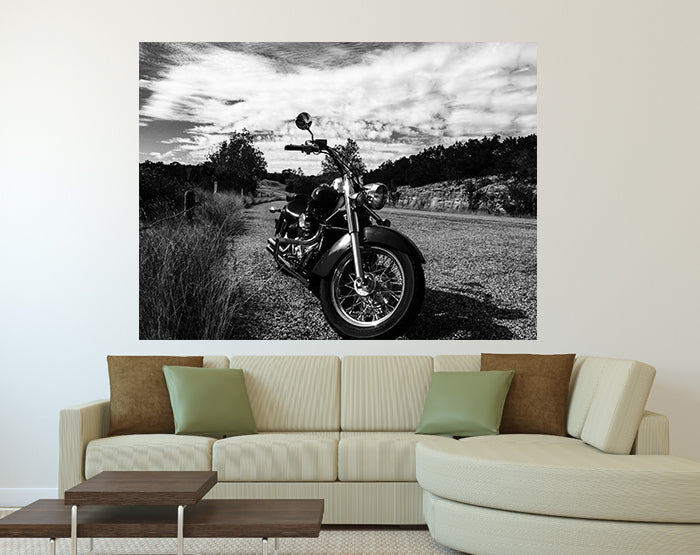 A vibrant collection of removable wall decals showcasing various designs, perfect for home decor enhancement.