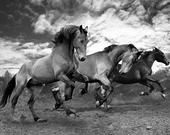 A collection of colorful and stylish removable wall decals displayed on a smooth wall, showcasing various designs suitable for different rooms.