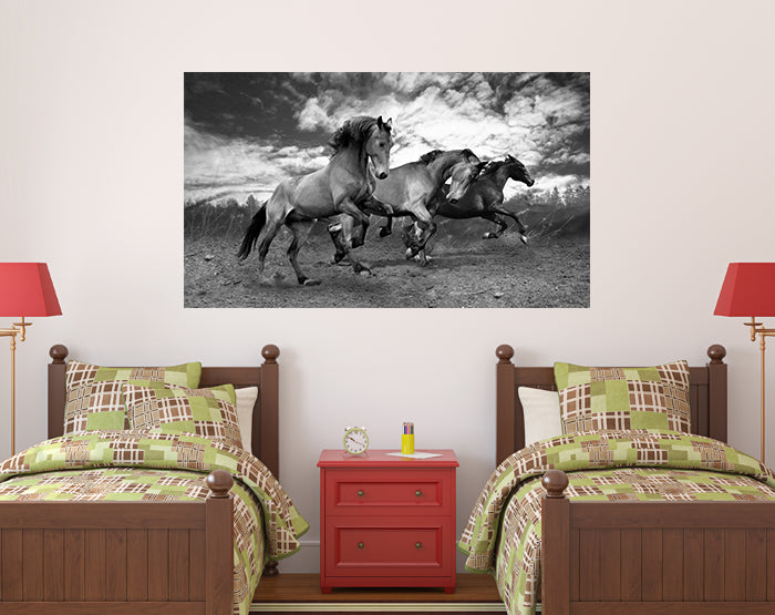 A collection of colorful and stylish removable wall decals displayed on a smooth wall, showcasing various designs suitable for different rooms.