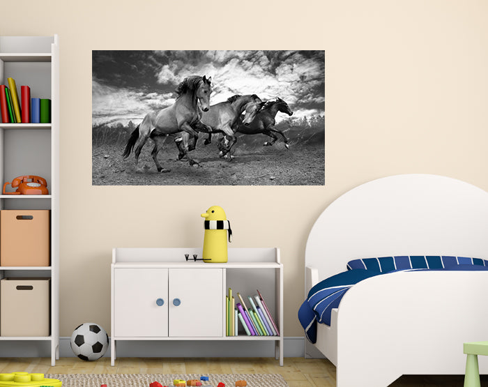 A collection of colorful and stylish removable wall decals displayed on a smooth wall, showcasing various designs suitable for different rooms.