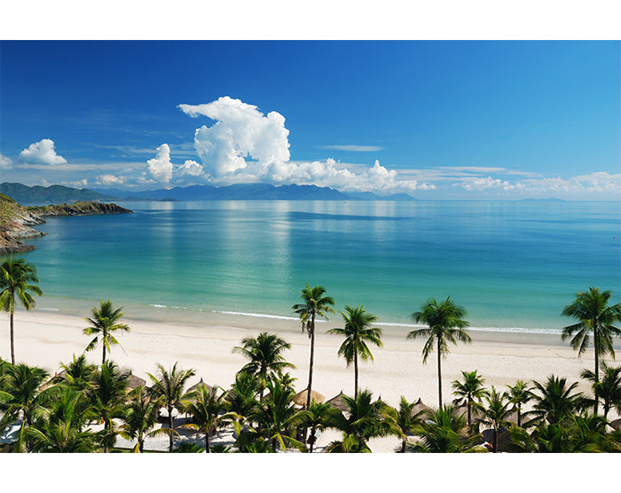 A collection of colorful removable wall decals displayed on a smooth surface, showcasing various designs and patterns.