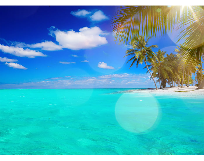 A collection of colorful removable wall decals displayed on a smooth surface, showcasing various designs suitable for home decor.