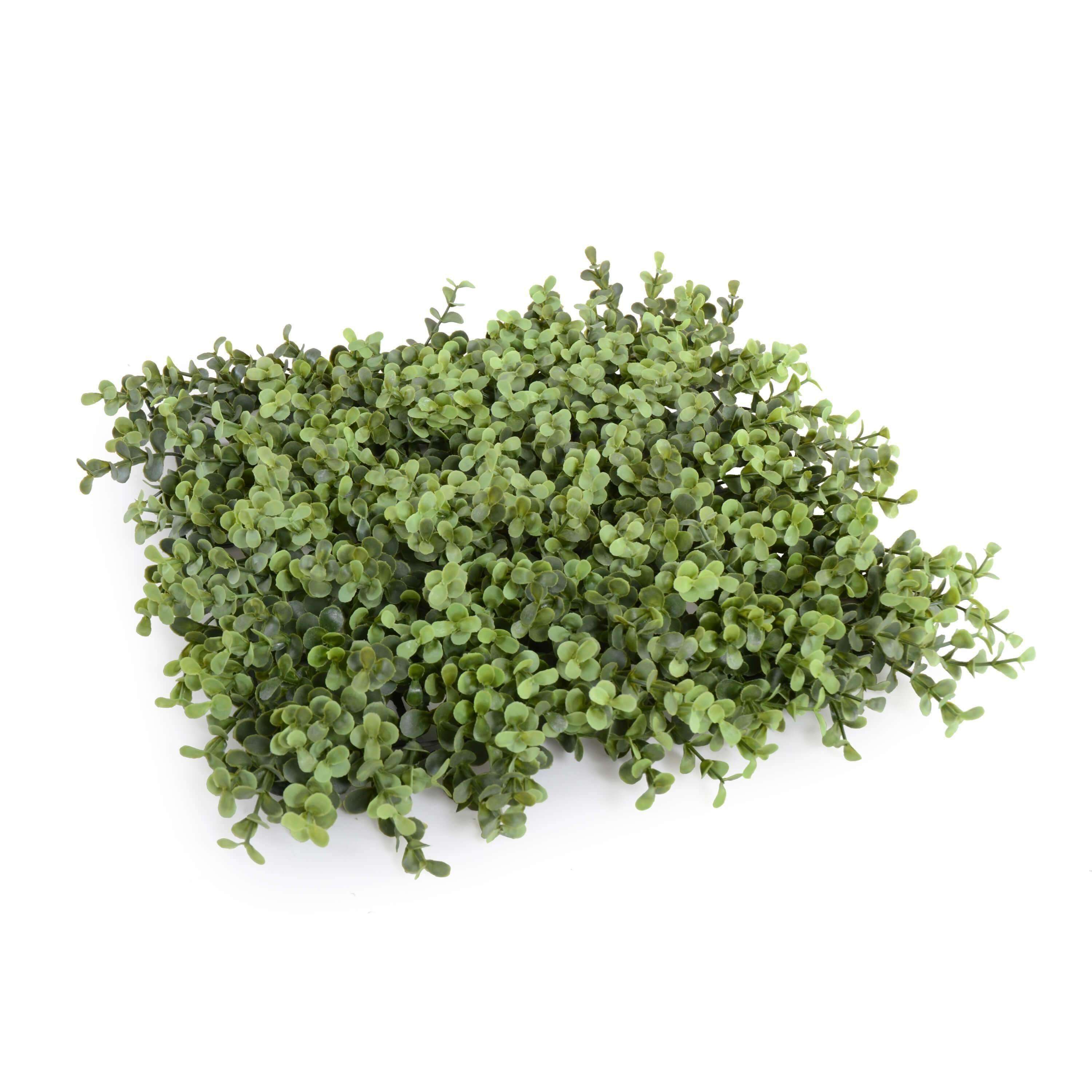 1.5m high UV portable Pittosporum artificial hedge panel, showcasing lush green leaves for indoor and outdoor decoration.