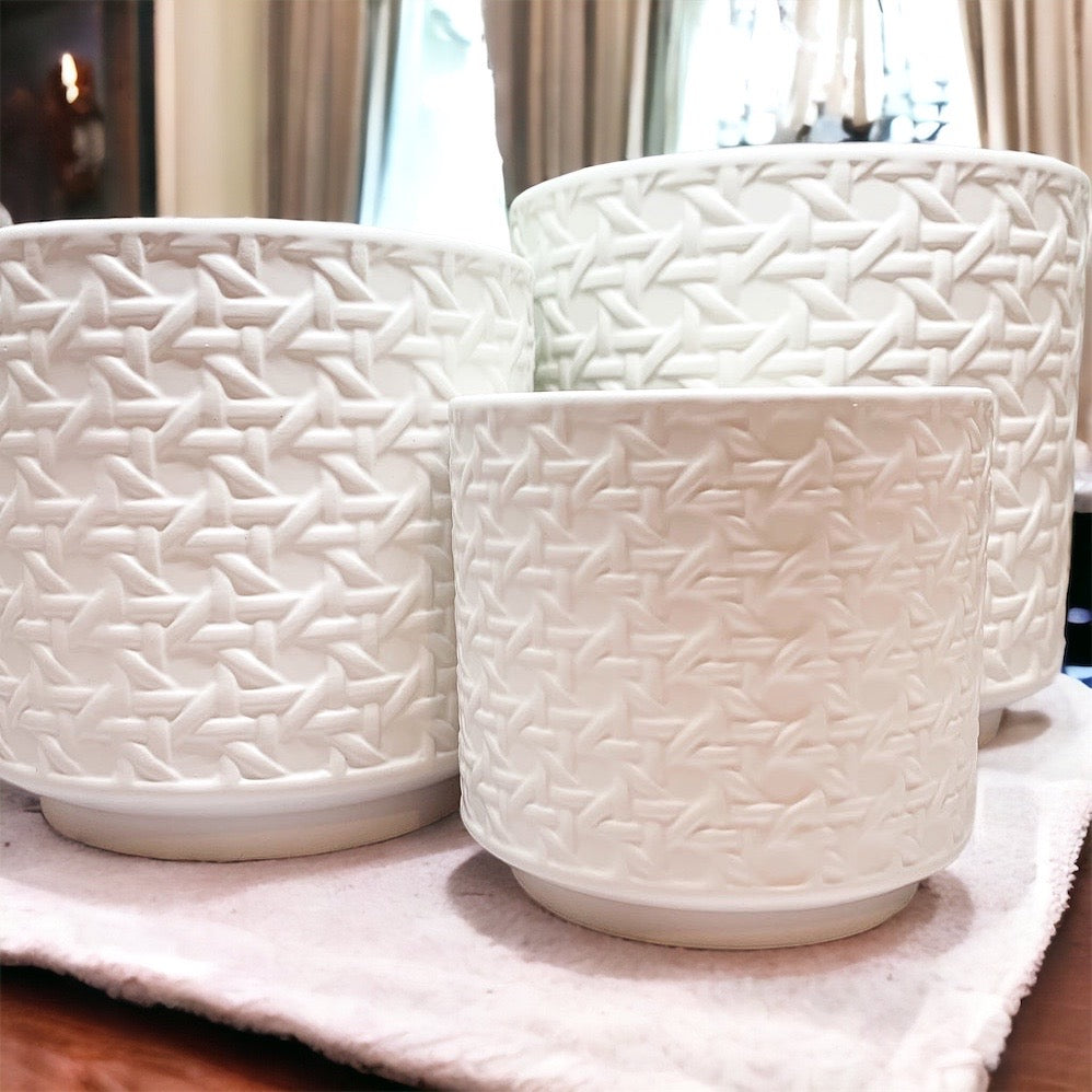 Madison Web Vases featuring embossed cane webbing design in assorted sizes, perfect for floral arrangements or as decorative pieces.