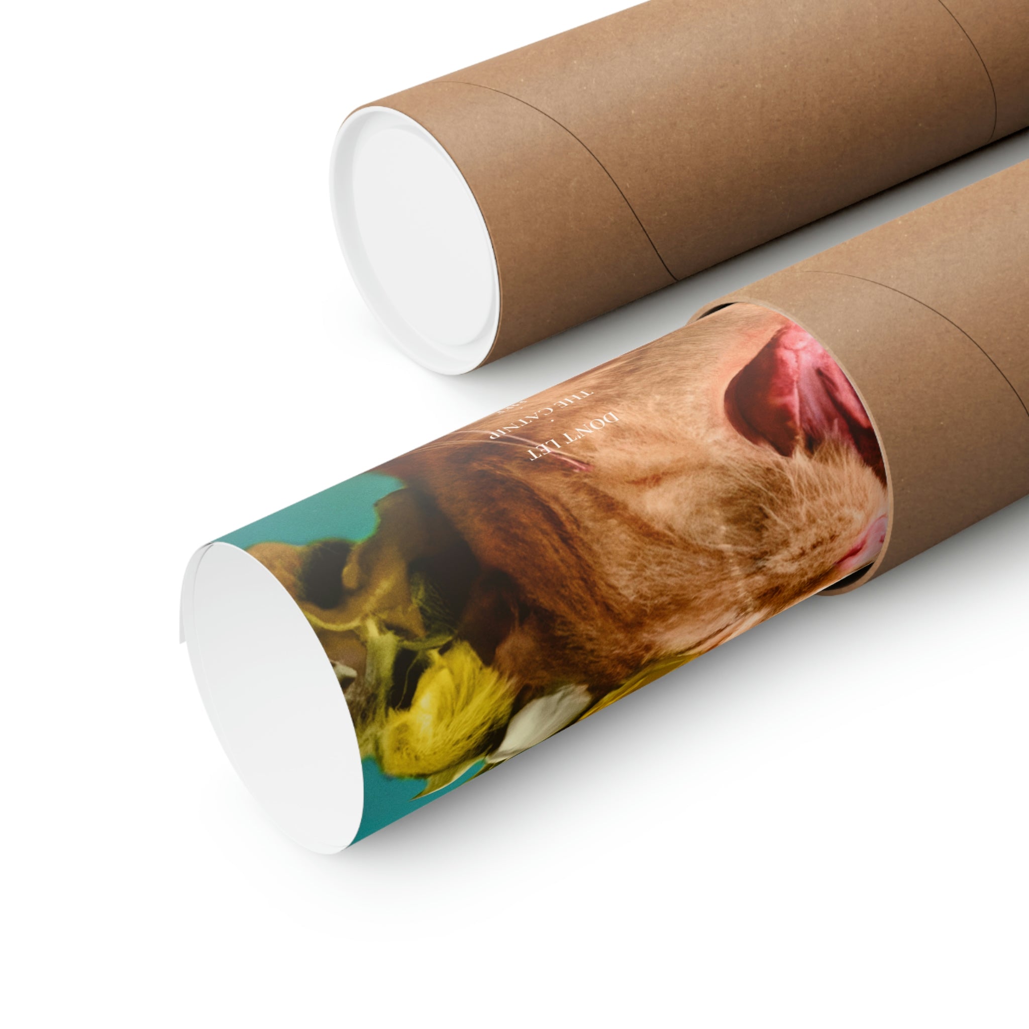 Midnight Meow Cat Movie Poster featuring a whimsical cat design on premium matte paper.