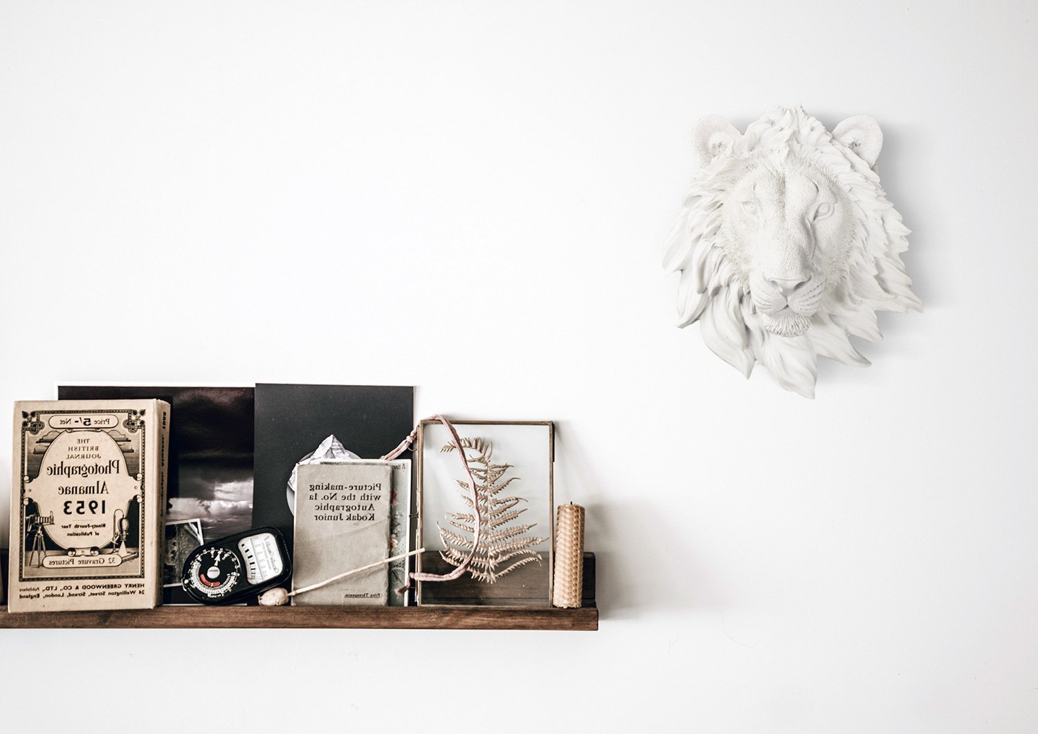 A beautifully crafted Mini White Lion head, 9 inches tall, made from eco-friendly resin with a hand-painted finish, perfect for stylish home decor.