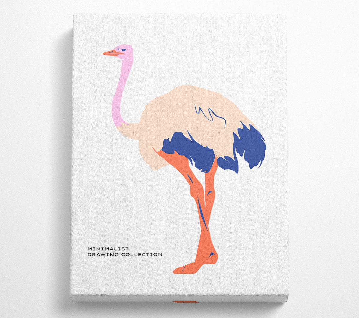 A minimalist art piece featuring an ostrich design printed on coated polyester canvas, mounted on a 44mm box frame, ready to hang.