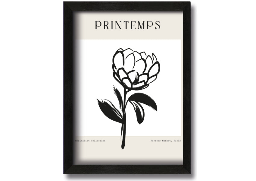 A beautifully framed Minimalist Plant print showcasing elegant simplicity, available in various frame colours.