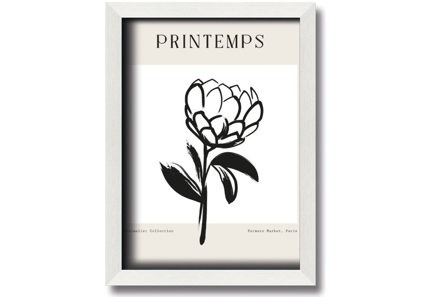A beautifully framed Minimalist Plant print showcasing elegant simplicity, available in various frame colours.