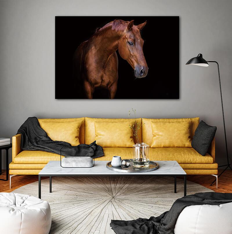 Nobility Acrylic Horse Print Wall Art featuring a majestic horse design on a sleek acrylic panel, showcasing high-gloss finish and polished edges.