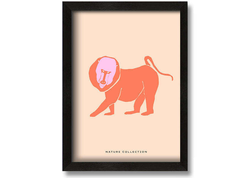 A vibrant framed print of an orange mandrill, showcasing its colorful features and detailed artwork, ready to hang.