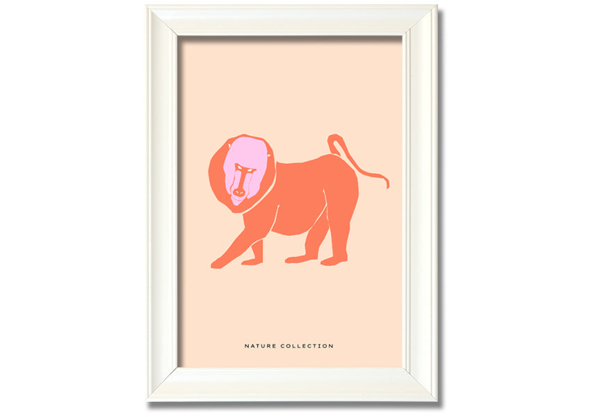 A vibrant framed print of an orange mandrill, showcasing its colorful features and detailed artwork, ready to hang.