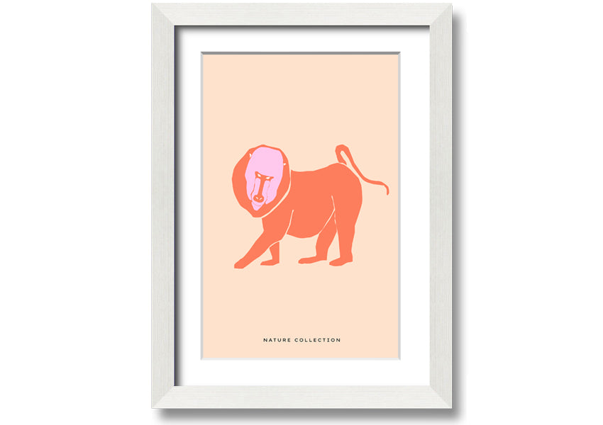 A vibrant framed print of an orange mandrill, showcasing its colorful features and detailed artwork, ready to hang.
