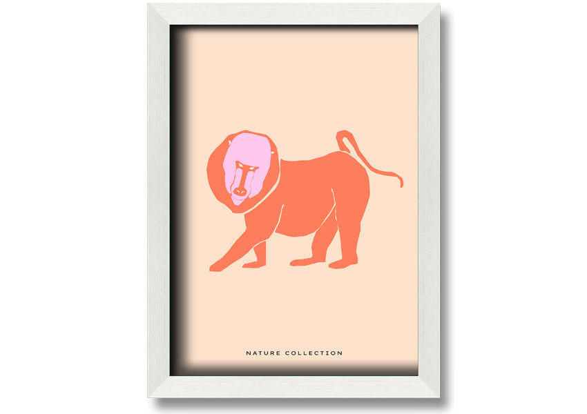 A vibrant framed print of an orange mandrill, showcasing its colorful features and detailed artwork, ready to hang.
