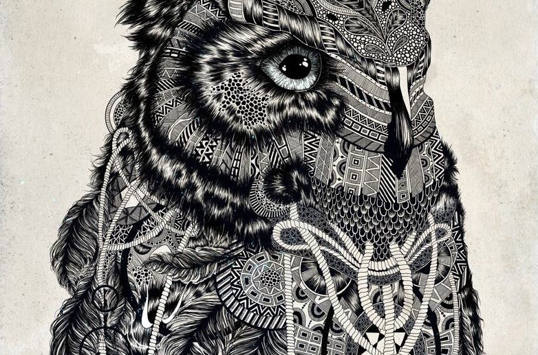 Limited edition OWL art print by Feline Zegers on fine arts paper, showcasing vibrant colors and intricate details.