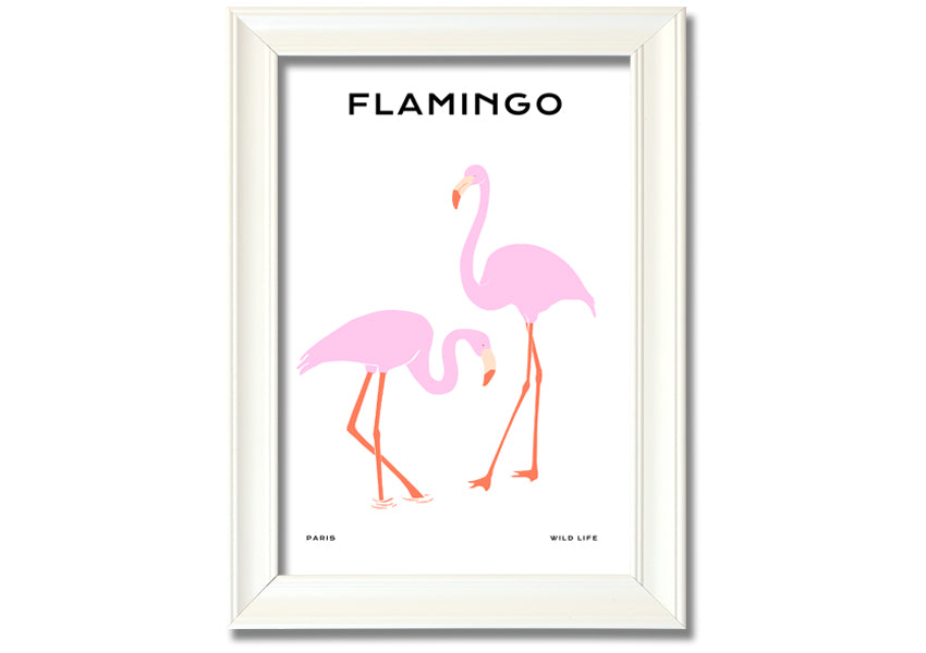 A vibrant Pink Flamingo framed print showcasing a beautiful flamingo design, ready to hang.