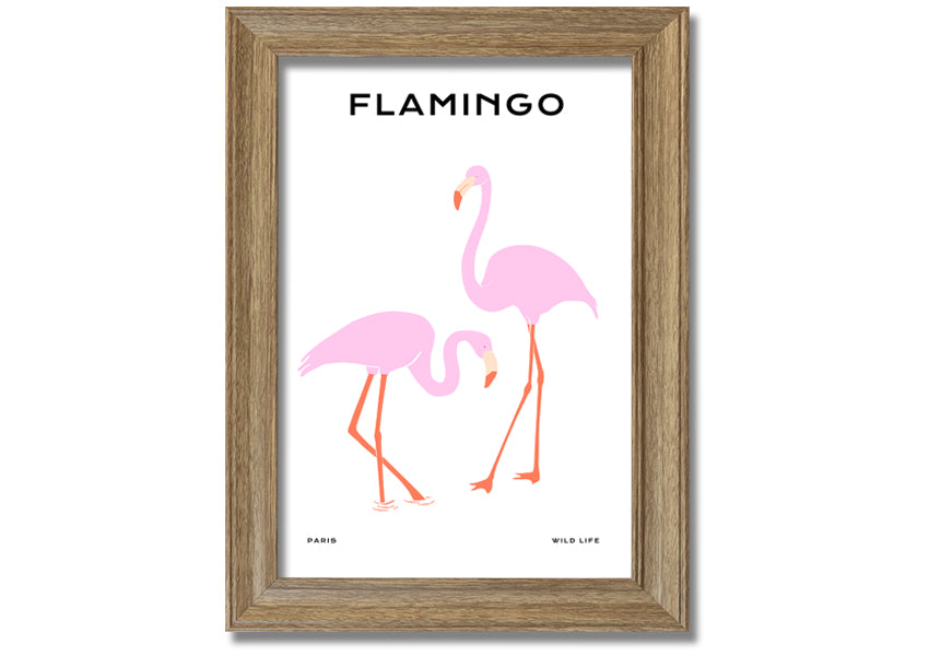 A vibrant Pink Flamingo framed print showcasing a beautiful flamingo design, ready to hang.