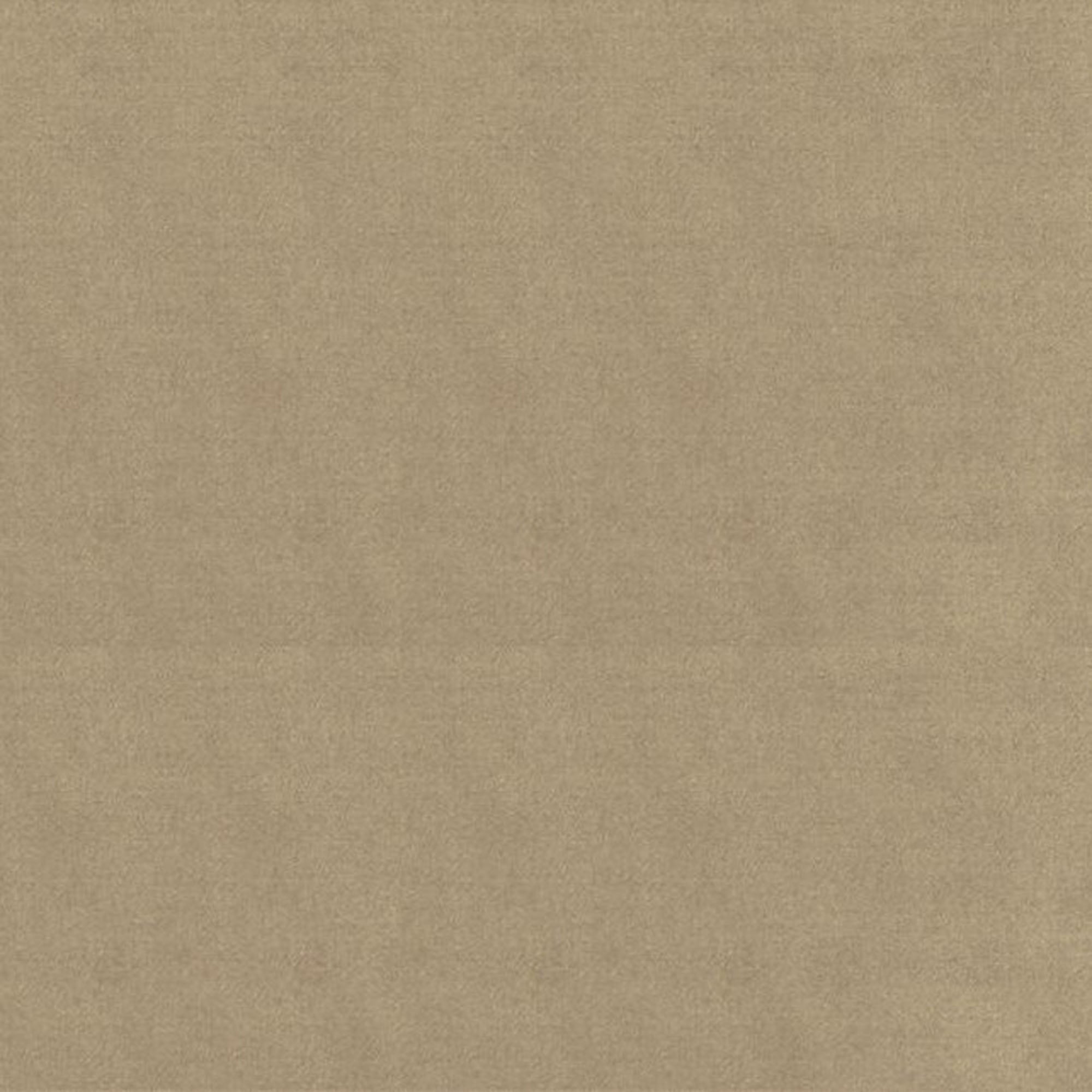 Plutus Brown Solid Shiny Velvet Luxury Throw Pillow showcasing its rich brown color and shiny velvet texture, perfect for home decor.