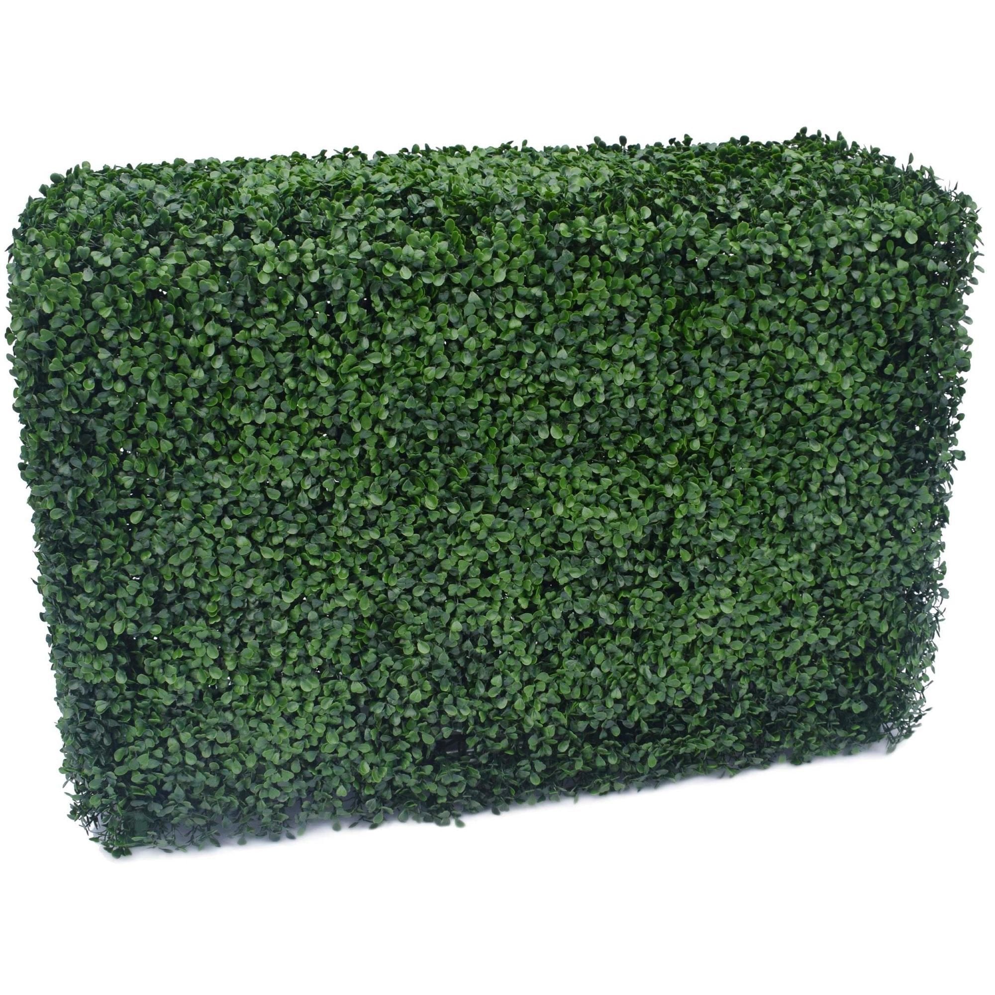 A portable boxwood hedge measuring 75cm high and 100cm long, featuring lush green foliage, perfect for indoor and outdoor decoration.