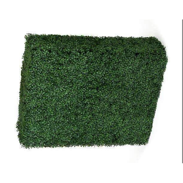 A portable boxwood hedge measuring 75cm high and 100cm long, featuring lush green foliage, perfect for indoor and outdoor decoration.