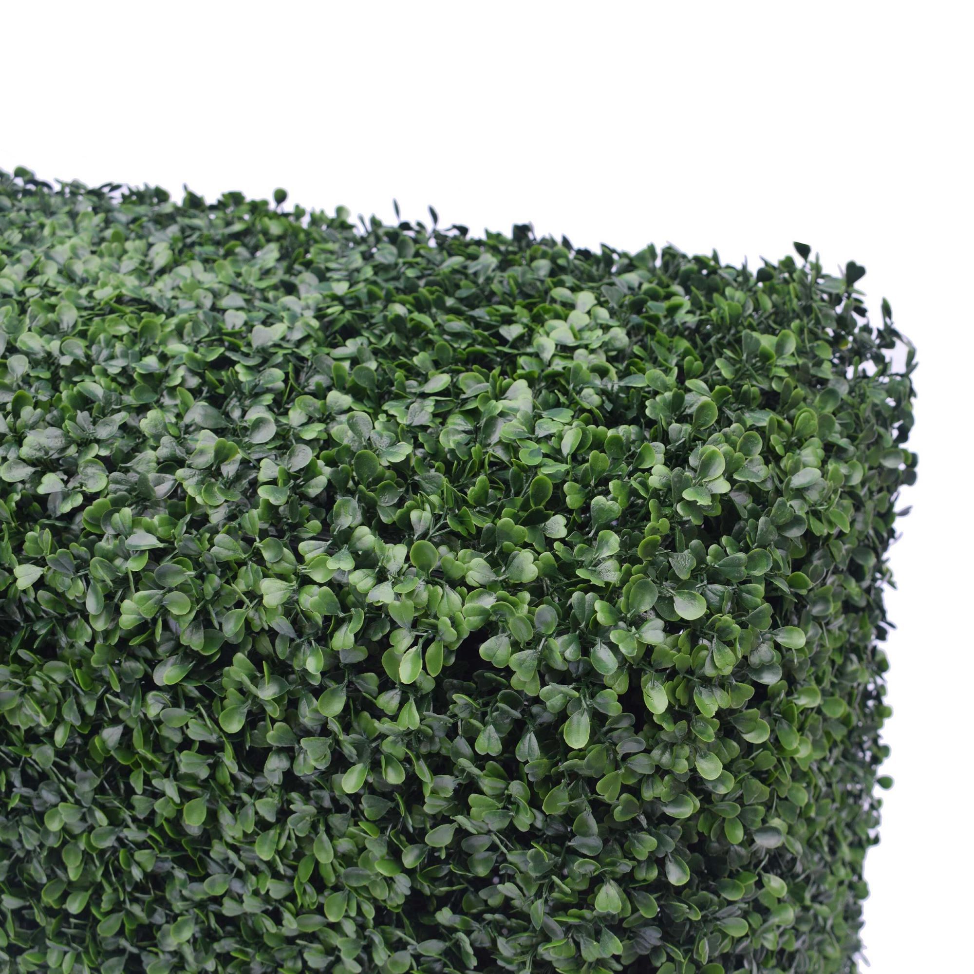 A portable boxwood hedge measuring 75cm high and 100cm long, featuring lush green foliage, perfect for indoor and outdoor decoration.