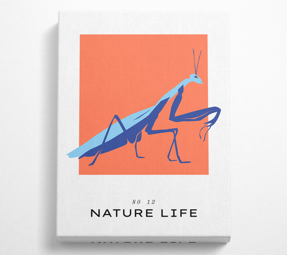 A beautifully detailed Praying Mantis Crawling artwork printed on coated polyester canvas, mounted on a sturdy 44mm box frame, ready to hang.